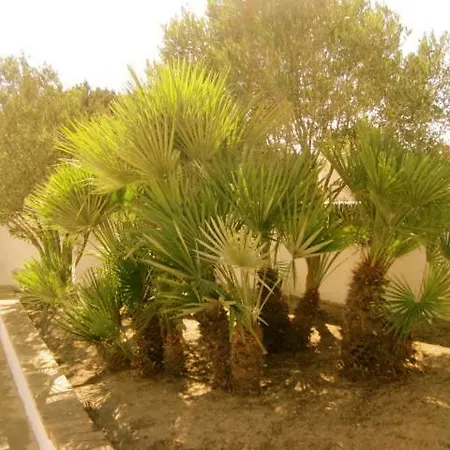 Casa Celeste Carloforte Vakantiehuis